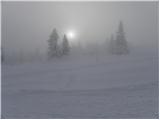 Kranjski Rak - Kapela Marije Snežne (Velika planina)